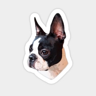 Boston Terrier Sticker